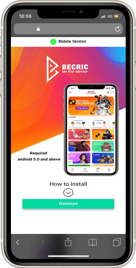Basic information about Becric app